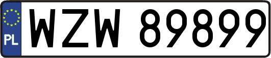 WZW89899