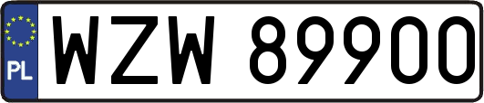 WZW89900