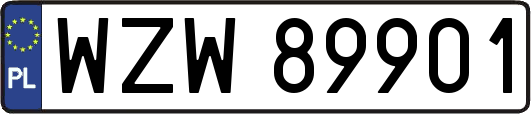 WZW89901