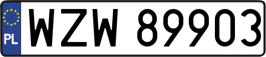 WZW89903