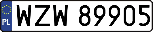 WZW89905