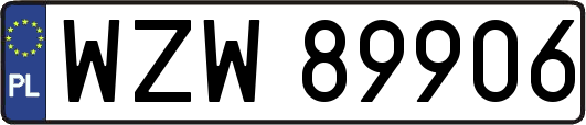 WZW89906