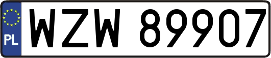 WZW89907