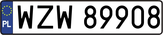 WZW89908