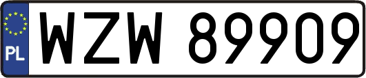 WZW89909