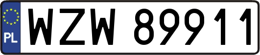 WZW89911