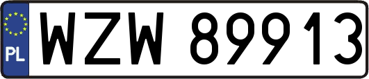 WZW89913