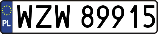 WZW89915