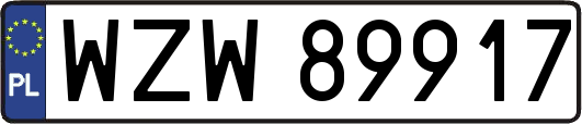 WZW89917