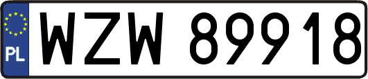 WZW89918