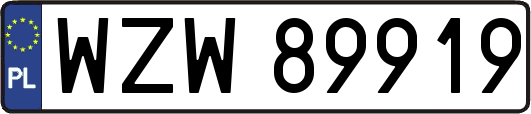 WZW89919