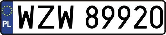 WZW89920