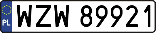 WZW89921