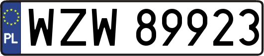 WZW89923
