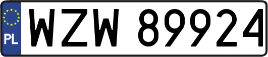 WZW89924