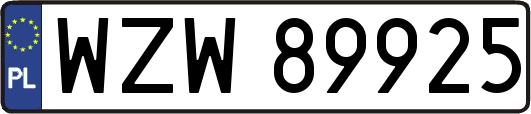 WZW89925