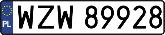 WZW89928