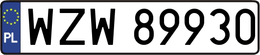 WZW89930