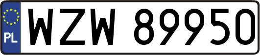 WZW89950