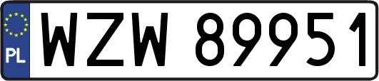 WZW89951