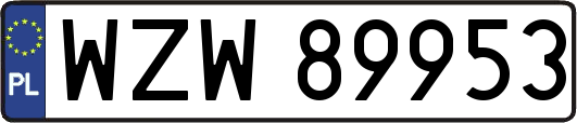 WZW89953