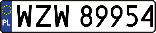 WZW89954