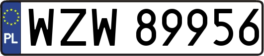 WZW89956