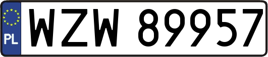 WZW89957