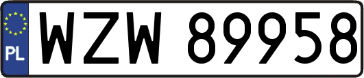 WZW89958