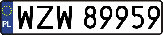 WZW89959