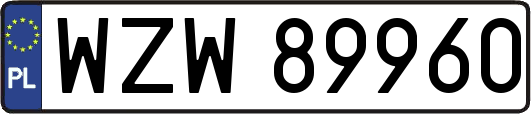 WZW89960