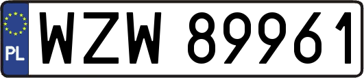 WZW89961