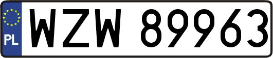 WZW89963