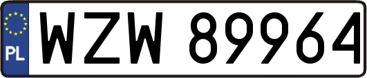 WZW89964