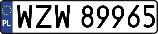 WZW89965