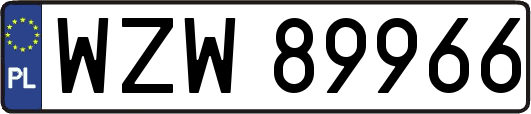 WZW89966