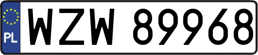 WZW89968