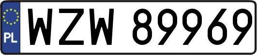 WZW89969