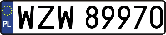WZW89970