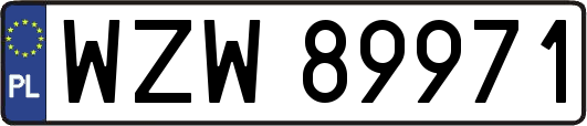 WZW89971