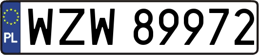 WZW89972