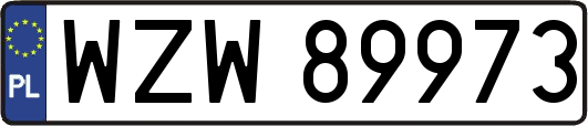 WZW89973