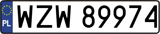 WZW89974