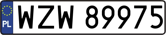 WZW89975