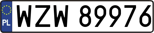 WZW89976