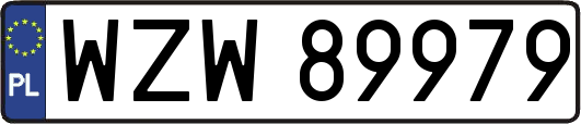 WZW89979