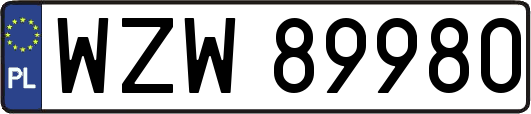 WZW89980
