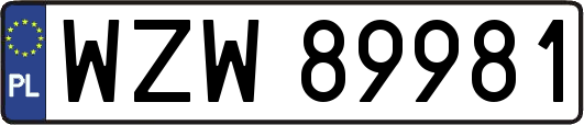 WZW89981