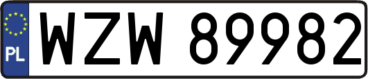 WZW89982