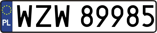 WZW89985